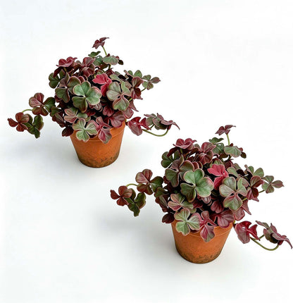 Artificial Shamrock Potted Plants, Set of 2 Indoor Faux Clover Decor