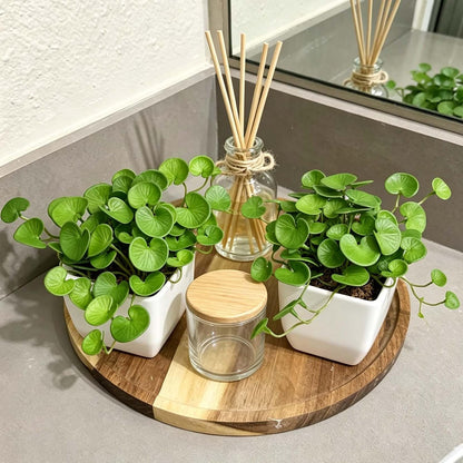 Artificial Shamrock Potted Plants, Set of 2 Indoor Faux Clover Decor