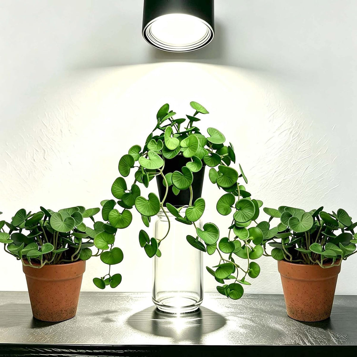 Artificial Shamrock Potted Plants, Set of 2 Indoor Faux Clover Decor