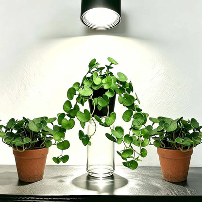 Artificial Shamrock Potted Plants, Set of 2 Indoor Faux Clover Decor