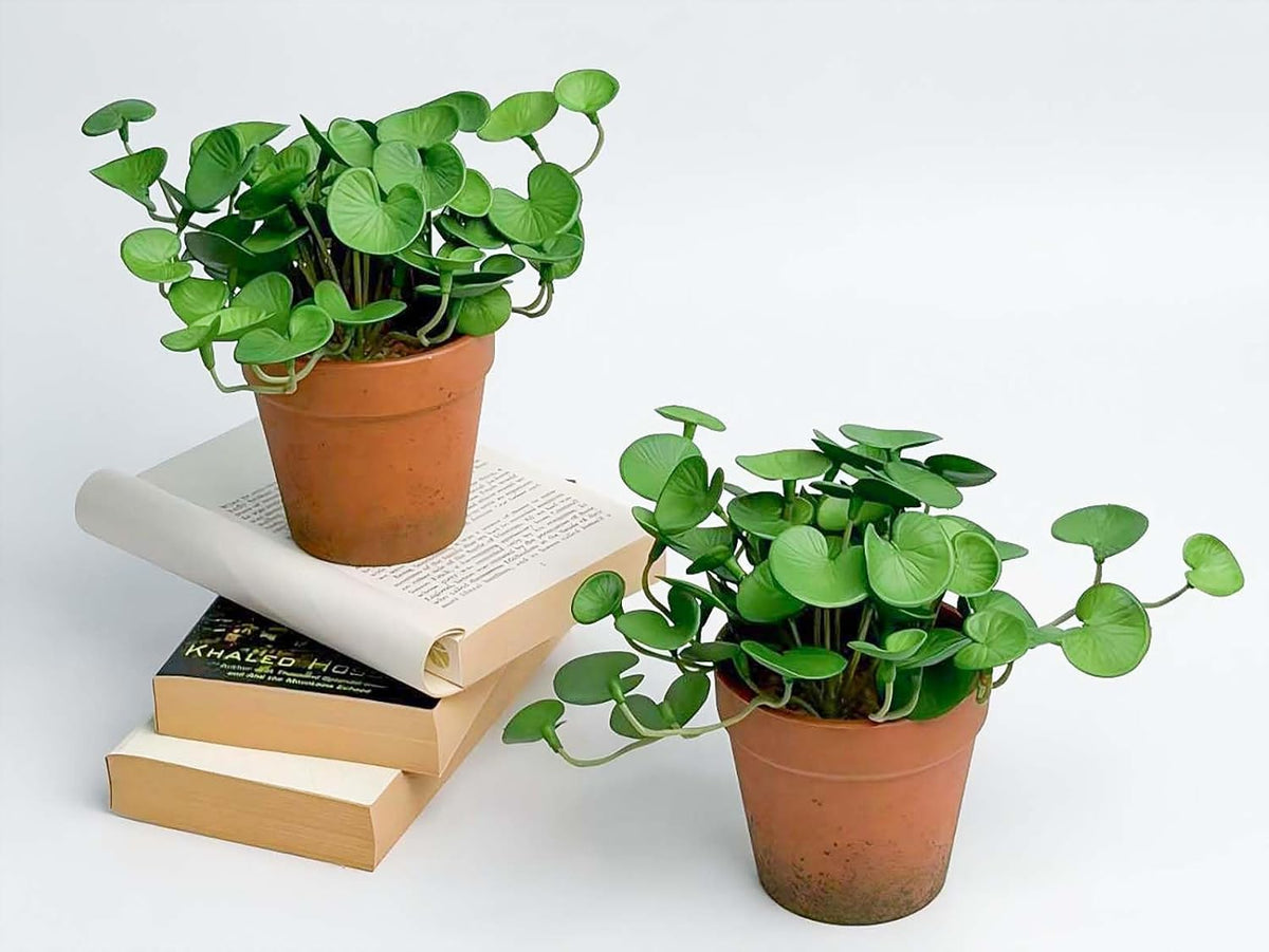 Artificial Shamrock Potted Plants, Set of 2 Indoor Faux Clover Decor