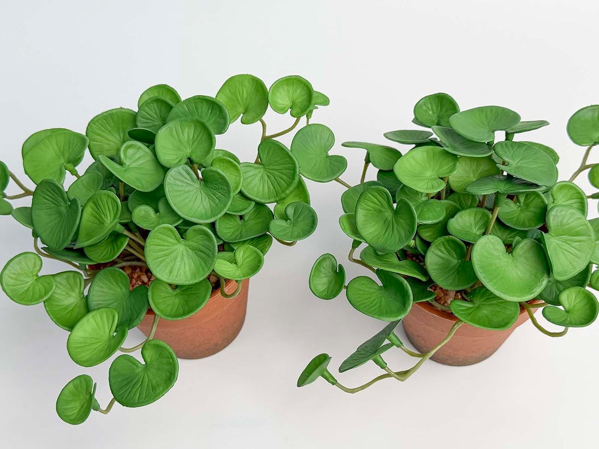 Artificial Shamrock Potted Plants, Set of 2 Indoor Faux Clover Decor