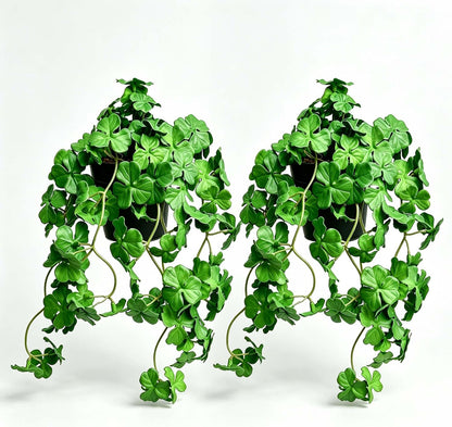 Artificial Shamrock Potted Plants, Set of 2 Indoor Faux Clover Decor