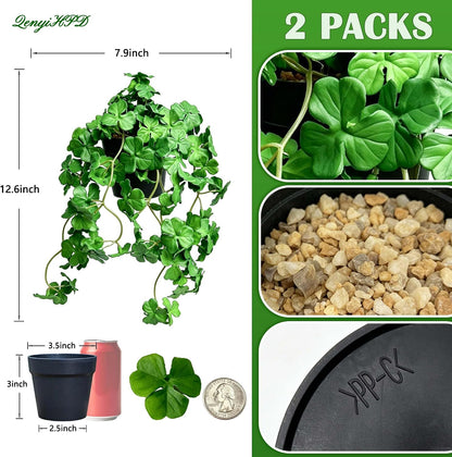 Artificial Shamrock Potted Plants, Set of 2 Indoor Faux Clover Decor