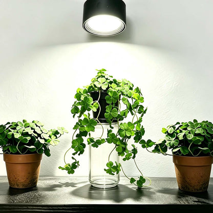 Artificial Shamrock Potted Plants, Set of 2 Indoor Faux Clover Decor