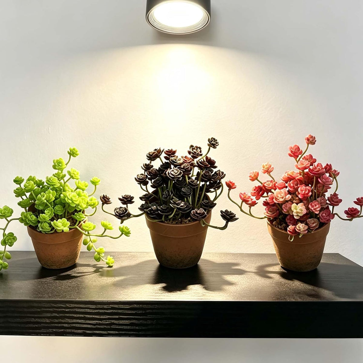 Artificial Shamrock Potted Plants, Set of 2 Indoor Faux Clover Decor