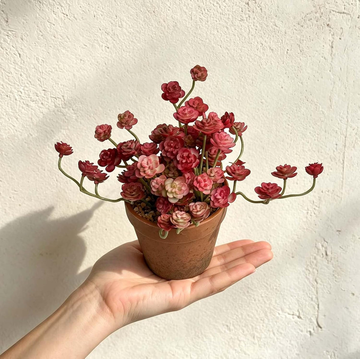 Artificial Shamrock Potted Plants, Set of 2 Indoor Faux Clover Decor