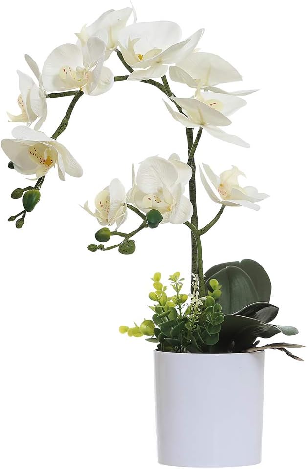 White Orchid Artificial Flowers in Pot, Fake Plastic Orchid Flowers, Decoration for Home Office Wedding(White 2 Bouquets)