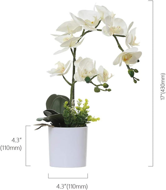 White Orchid Artificial Flowers in Pot, Fake Plastic Orchid Flowers, Decoration for Home Office Wedding(White 2 Bouquets)