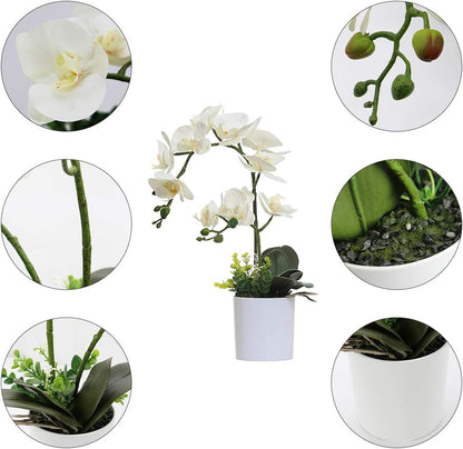 White Orchid Artificial Flowers in Pot, Fake Plastic Orchid Flowers, Decoration for Home Office Wedding(White 2 Bouquets)