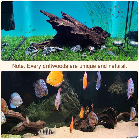 Driftwood for Aquarium, 2 Pieces 14-18 Inches Large Natural Drift Wood Fish Tank Assorted Branch Decorations for Reptile Hide - Colors D