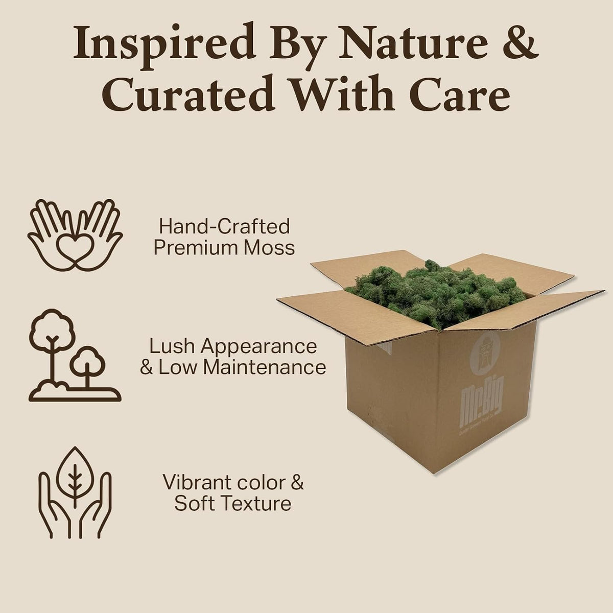 Reindeer Moss Bulk, Preserved Moss, Basil, Box