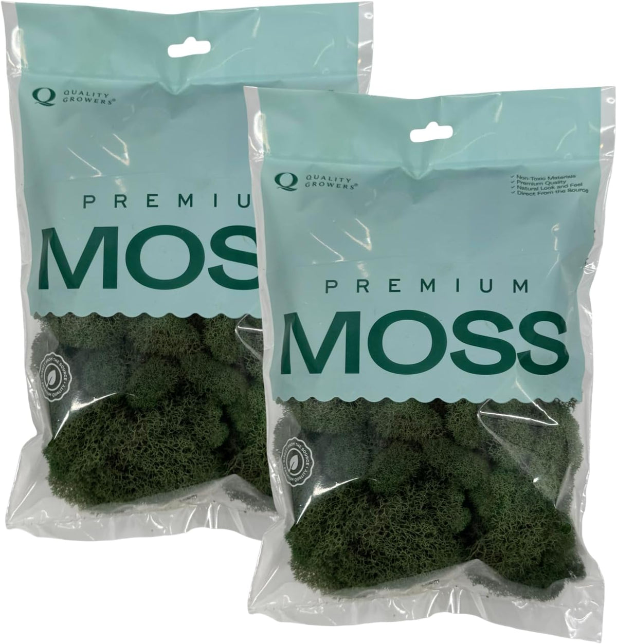 Reindeer Moss Bulk, Preserved Moss, Basil, Box