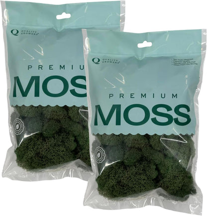 Reindeer Moss Bulk, Preserved Moss, Basil, Box
