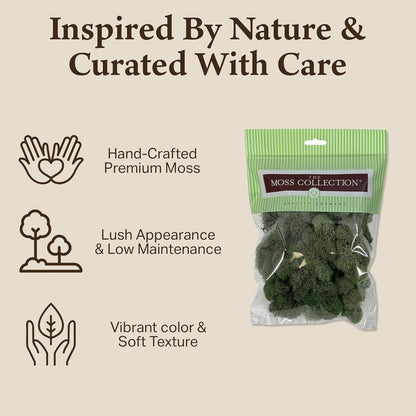 Reindeer Moss Bulk, Preserved Moss, Basil, Box