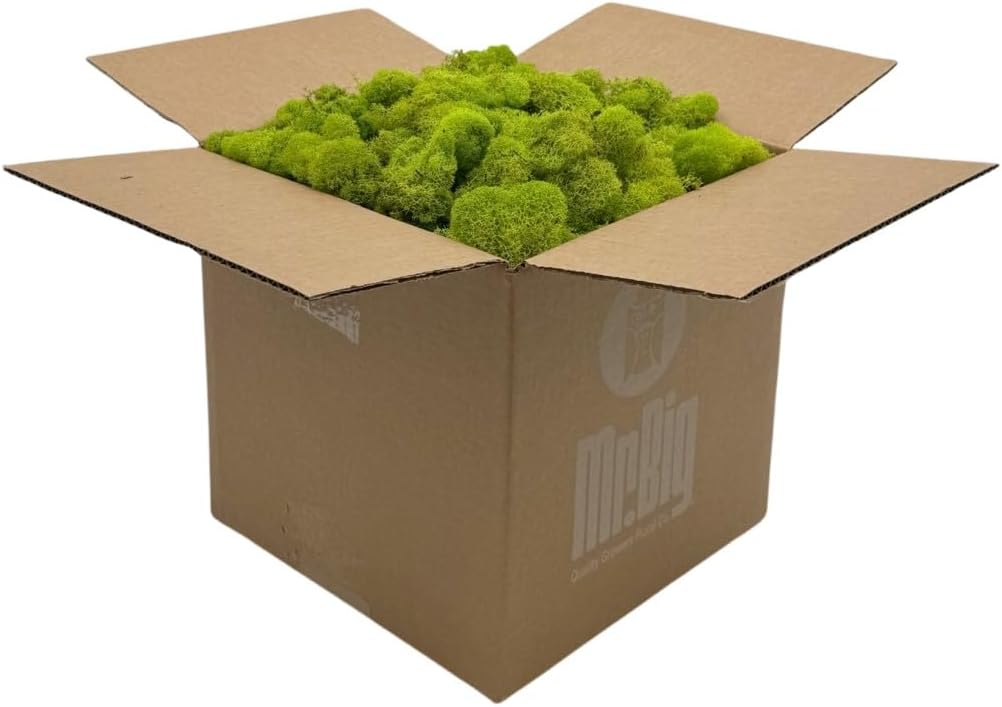 Reindeer Moss Bulk, Preserved Moss, Basil, Box