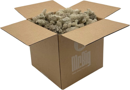 Reindeer Moss Bulk, Preserved Moss, Basil, Box