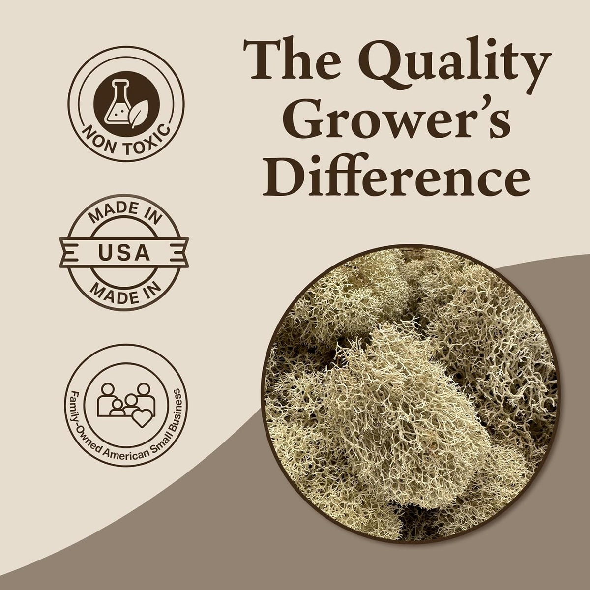 Reindeer Moss Bulk, Preserved Moss, Basil, Box