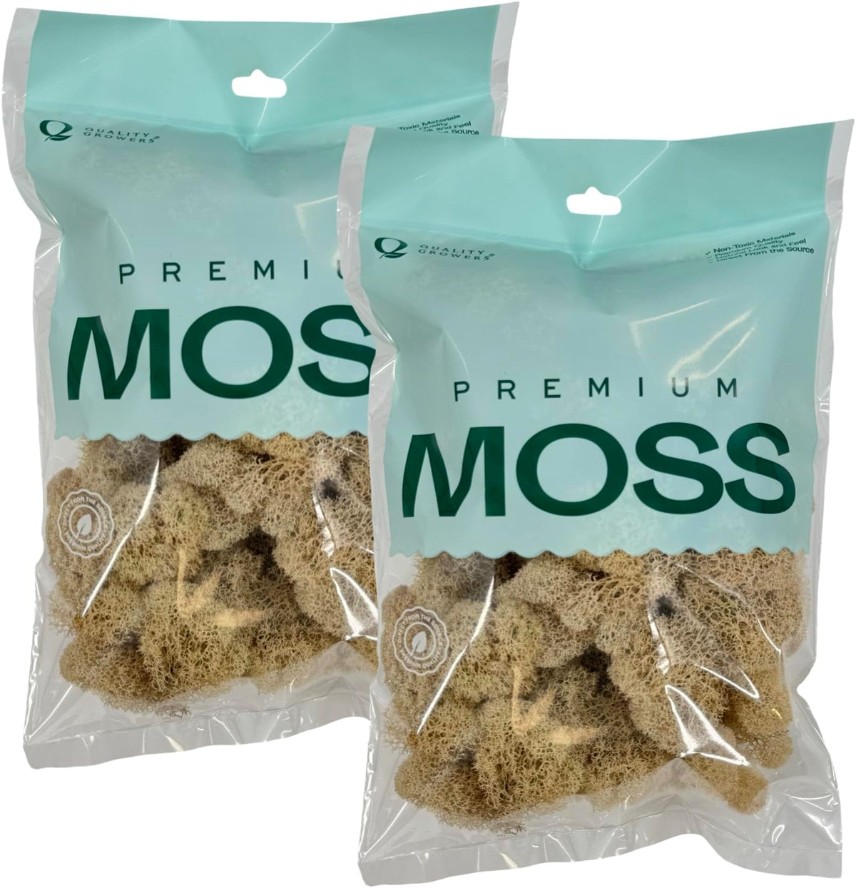 Reindeer Moss Bulk, Preserved Moss, Basil, Box