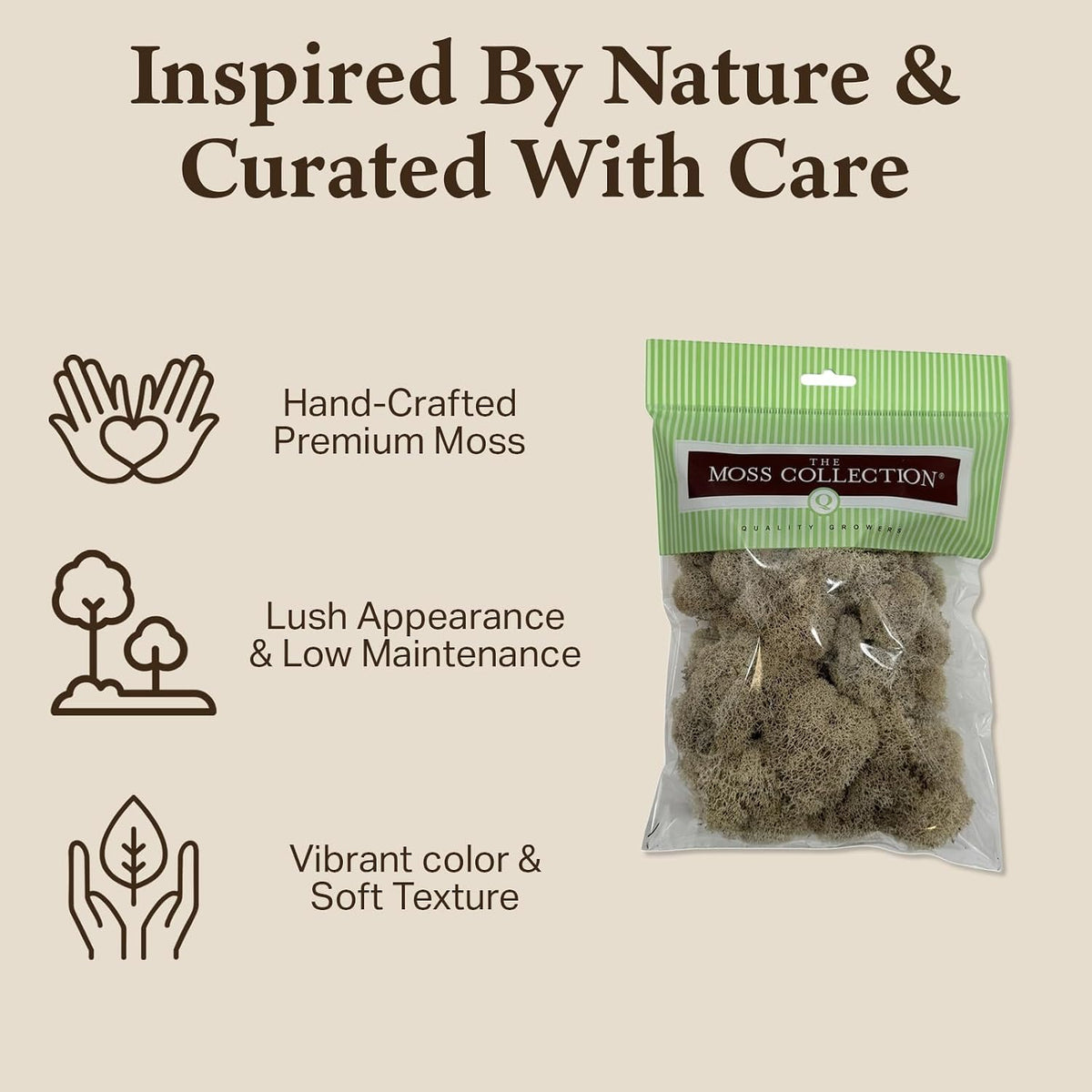 Reindeer Moss Bulk, Preserved Moss, Basil, Box