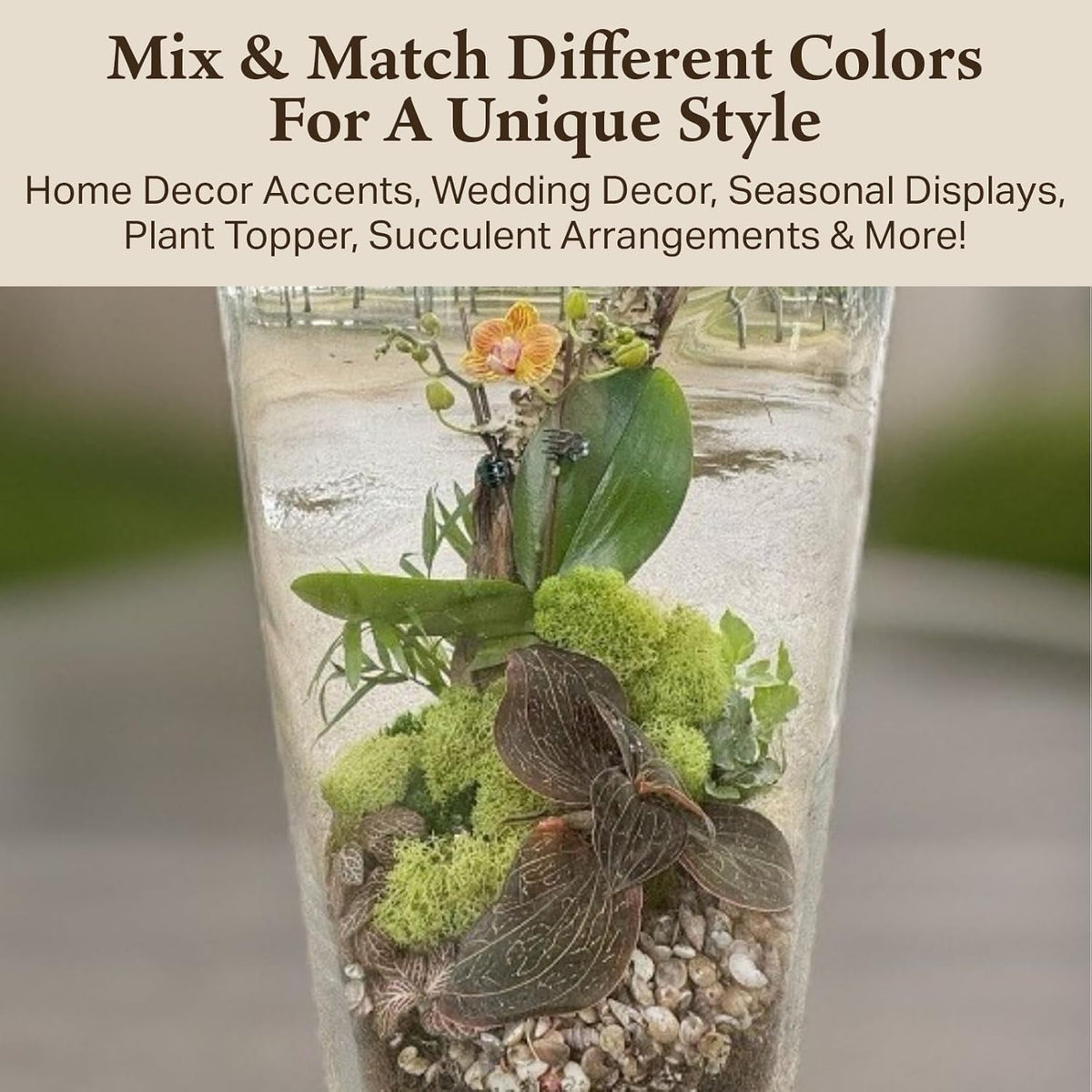 Reindeer Moss Bulk, Preserved Moss, Basil, Box