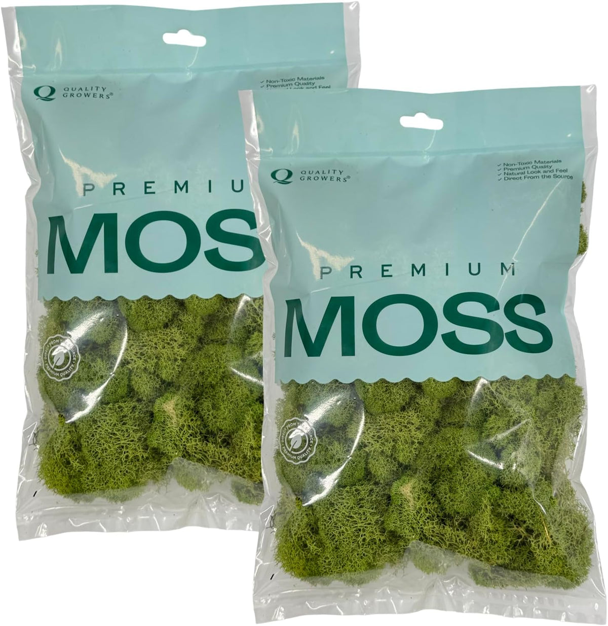 Reindeer Moss Bulk, Preserved Moss, Basil, Box