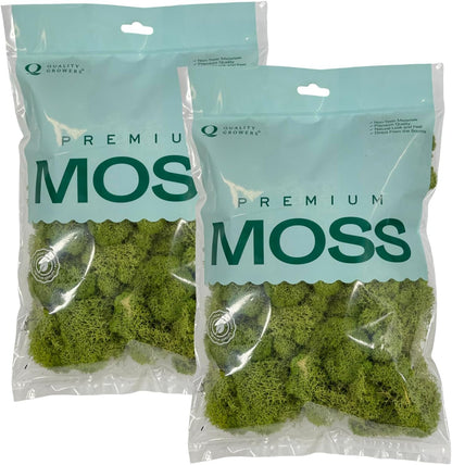 Reindeer Moss Bulk, Preserved Moss, Basil, Box