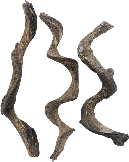 Reptile Decor Natural Forest Branch Terrarium Habitat Decoration Lizard Climbing Tree Branch for Bearded Dragon Gecko Snake Frog Chameleon Spider