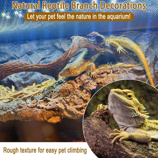 Reptile Decor Natural Forest Branch Terrarium Habitat Decoration Lizard Climbing Tree Branch for Bearded Dragon Gecko Snake Frog Chameleon Spider
