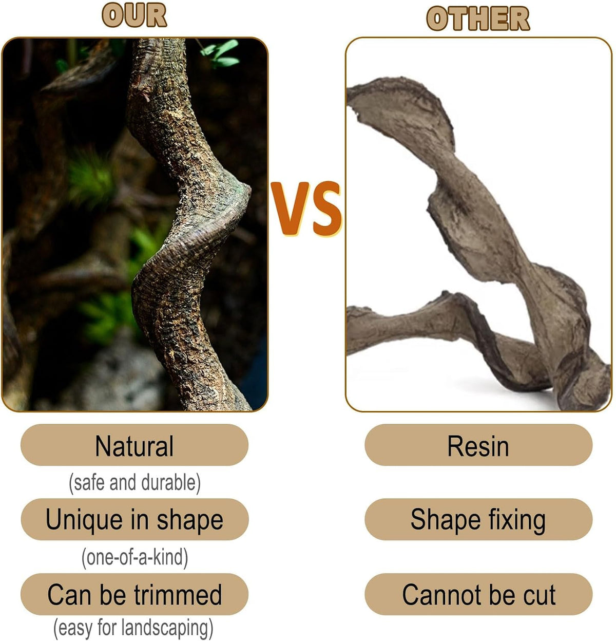 Reptile Decor Natural Forest Branch Terrarium Habitat Decoration Lizard Climbing Tree Branch for Bearded Dragon Gecko Snake Frog Chameleon Spider