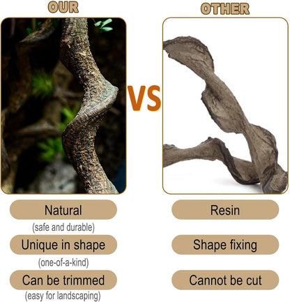 Reptile Decor Natural Forest Branch Terrarium Habitat Decoration Lizard Climbing Tree Branch for Bearded Dragon Gecko Snake Frog Chameleon Spider
