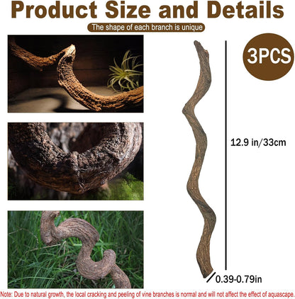 Reptile Decor Natural Forest Branch Terrarium Habitat Decoration Lizard Climbing Tree Branch for Bearded Dragon Gecko Snake Frog Chameleon Spider