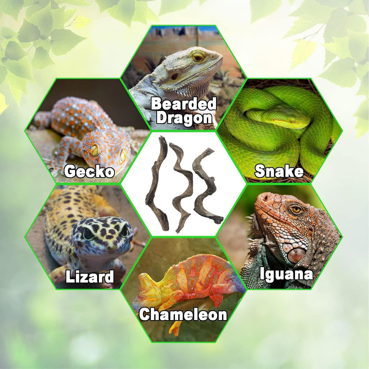 Reptile Decor Natural Forest Branch Terrarium Habitat Decoration Lizard Climbing Tree Branch for Bearded Dragon Gecko Snake Frog Chameleon Spider