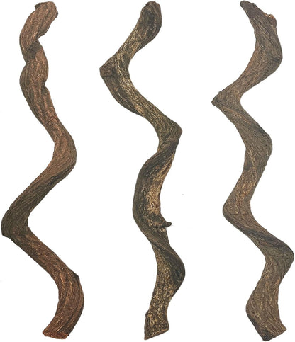Reptile Decor Natural Forest Branch Terrarium Habitat Decoration Lizard Climbing Tree Branch for Bearded Dragon Gecko Snake Frog Chameleon Spider