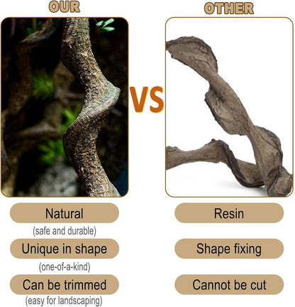 Reptile Decor Natural Forest Branch Terrarium Habitat Decoration Lizard Climbing Tree Branch for Bearded Dragon Gecko Snake Frog Chameleon Spider