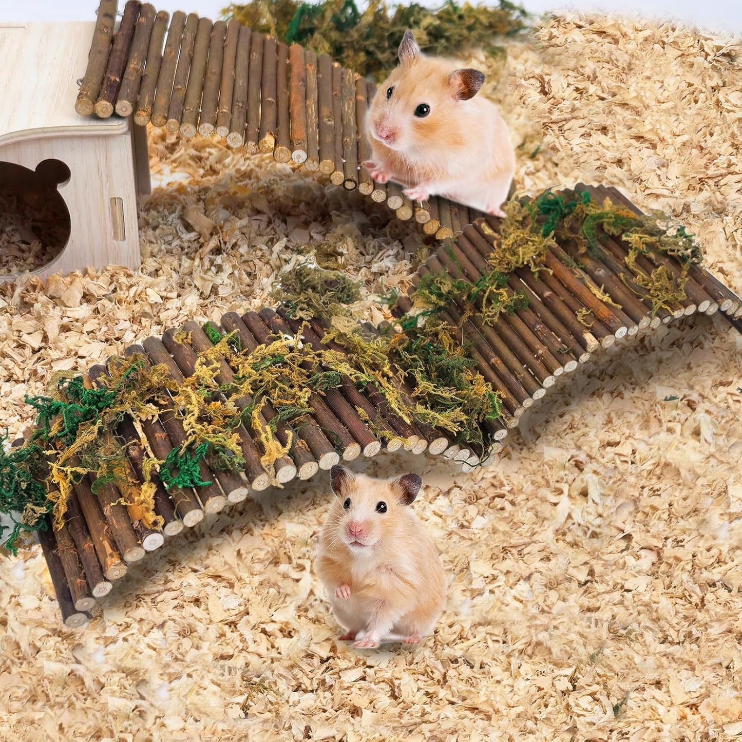 2 PCS Hamster Toys, Wooden Hamster Ladder Bridge Tunnel Hide, Guinea Pigs Cage Accessories Natural Hideout for Small Animals Chinchillas Guinea Pigs Mouse Rat Ferret Rodents