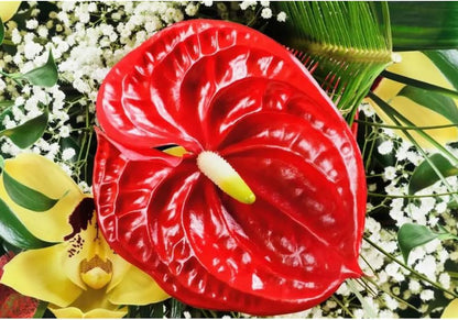 8 Pcs 23-5/8 inch Artificial Anthurium Flowers Real Touch Fake Flower