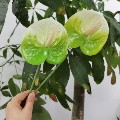 8 Pcs 23-5/8 inch Artificial Anthurium Flowers Real Touch Fake Flower