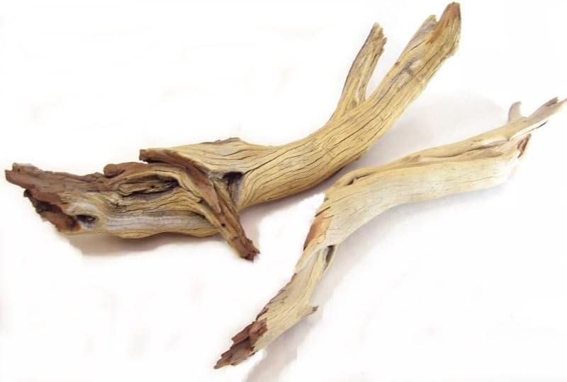 Sandblasted Ghostwood Branch 12" (California Driftwood)