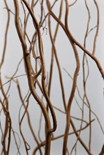 Sandblasted Ghostwood Branch 12" (California Driftwood)