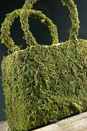 Sandblasted Ghostwood Branch 12" (California Driftwood)