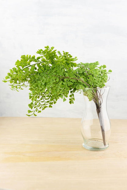 Sandblasted Ghostwood Branch 12" (California Driftwood)