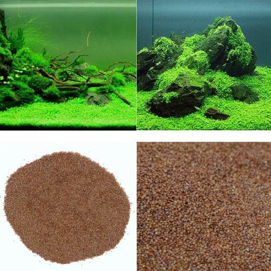 Aquarium G-r-a-s-s P-l-a-n-t - 3 Pack | Easy-Growing Water P-l-a-n-t for Fish Tank Aquarium