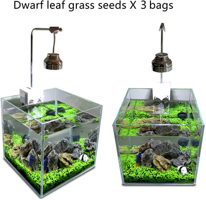 Aquarium G-r-a-s-s P-l-a-n-t - 3 Pack | Easy-Growing Water P-l-a-n-t for Fish Tank Aquarium
