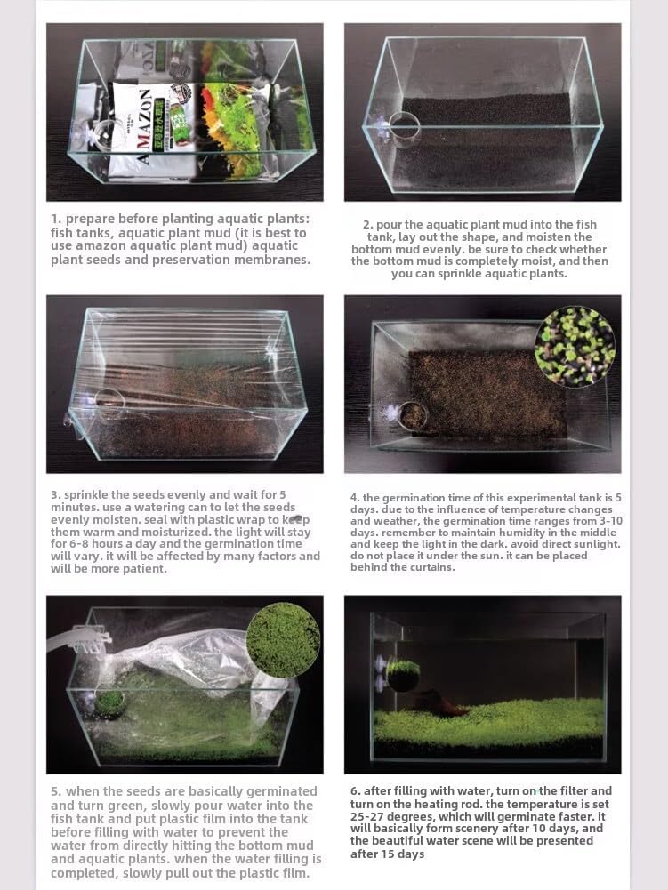 Aquarium G-r-a-s-s P-l-a-n-t - 3 Pack | Easy-Growing Water P-l-a-n-t for Fish Tank Aquarium