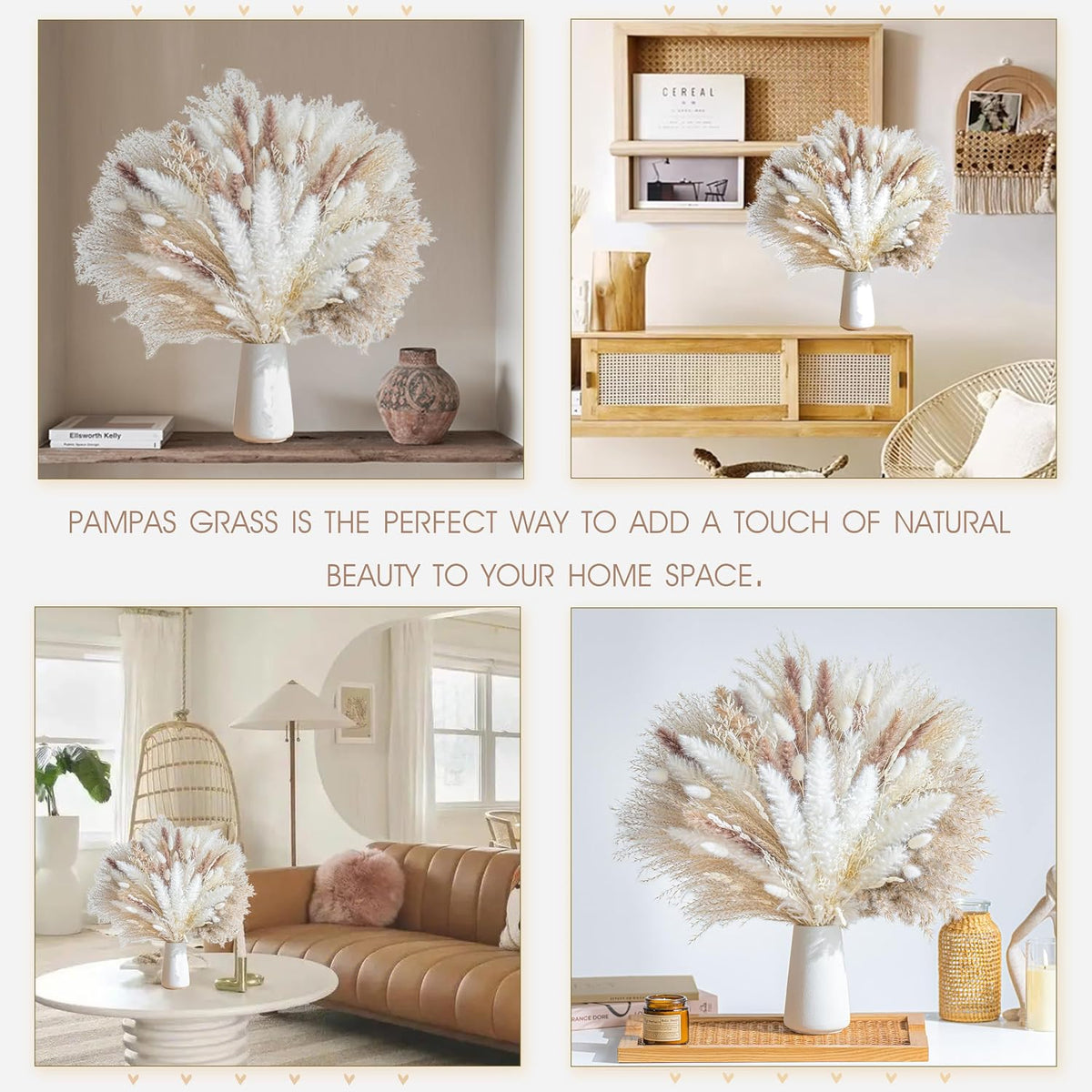 Natural Dried Pampas Grass Boho Home Decor Bouquet Phragmites Dried Flowers Bouquet for Wedding Floral Arrangements Living Room Decorations