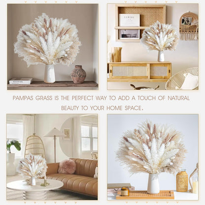 Natural Dried Pampas Grass Boho Home Decor Bouquet Phragmites Dried Flowers Bouquet for Wedding Floral Arrangements Living Room Decorations