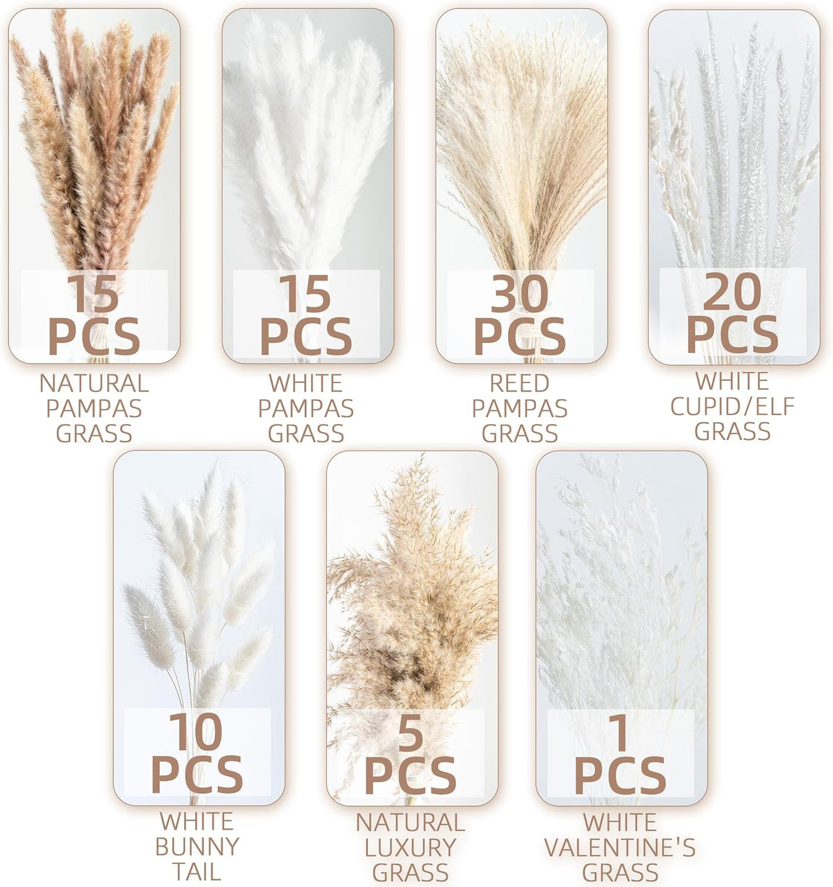 Natural Dried Pampas Grass Boho Home Decor Bouquet Phragmites Dried Flowers Bouquet for Wedding Floral Arrangements Living Room Decorations
