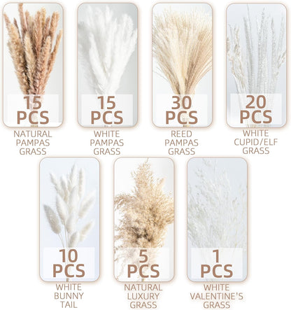 Natural Dried Pampas Grass Boho Home Decor Bouquet Phragmites Dried Flowers Bouquet for Wedding Floral Arrangements Living Room Decorations