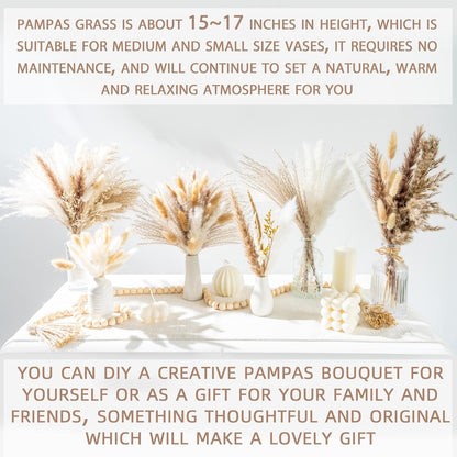 Natural Dried Pampas Grass Boho Home Decor Bouquet Phragmites Dried Flowers Bouquet for Wedding Floral Arrangements Living Room Decorations